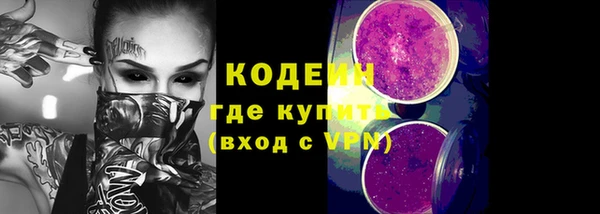 эйфоретик Богданович
