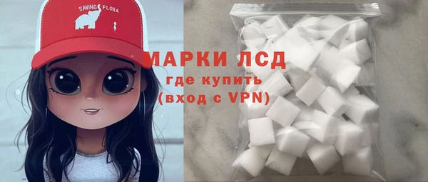 эйфоретик Богданович