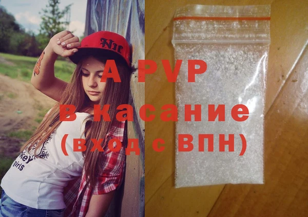 эйфоретик Богданович