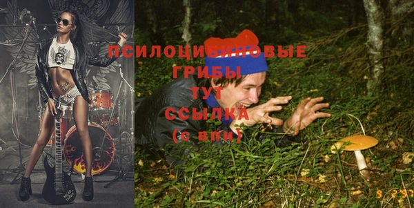 экстази Богородск